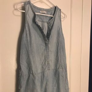 Everlane Denim Dress